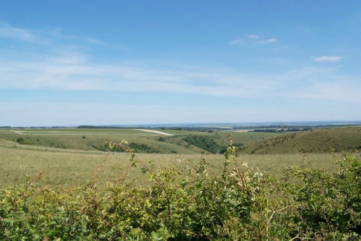 Cranbourne Chase, an Area of Outstanding Natural Beauty, stretches between Blandford and Salisbury.